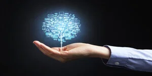 השקעות וניהול סיכונים